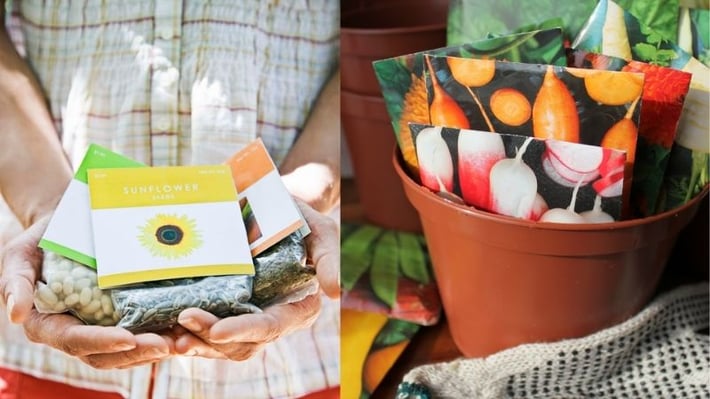 Seed packets in a small planter.