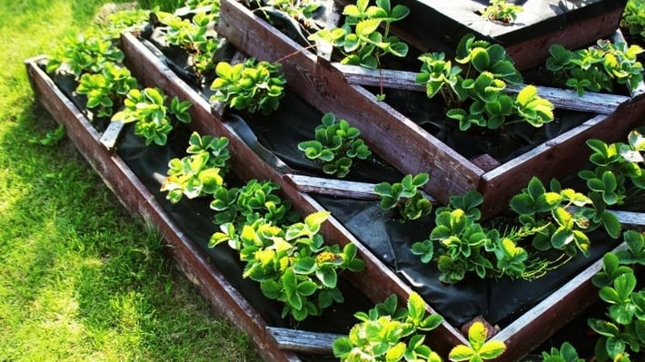 A tiered planter.