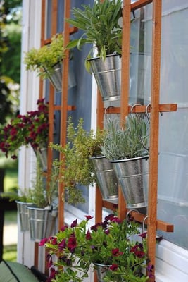 Vertical trellis garden.