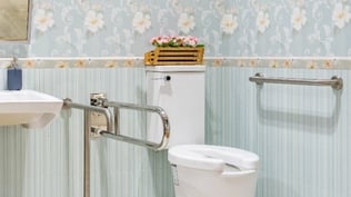 Bathroom safety, raised toilet with side rails