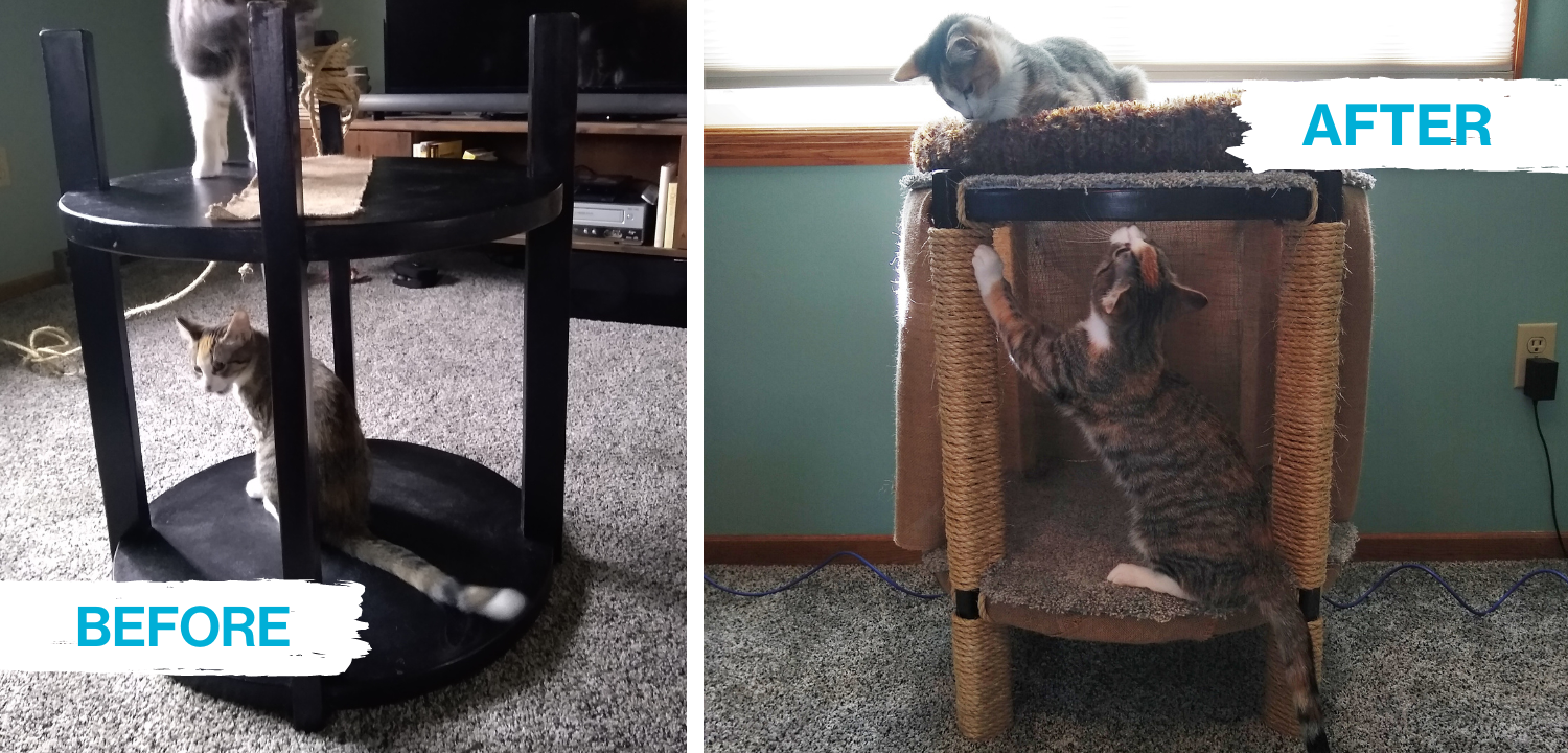 end table and carpet squares made into a cat cave, with two cats playing