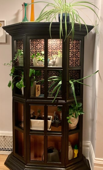 Upcycled black hutch with plants