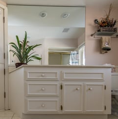 plants in bathroom