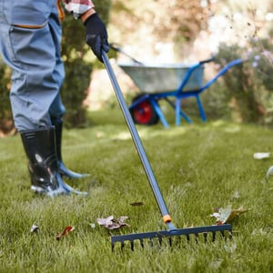 Person raking leaves.