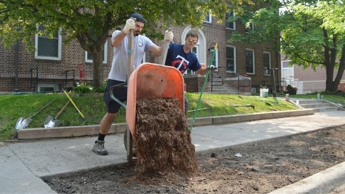 A volunteer uses a wheelbarrow to add mulch to the plot.