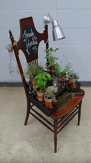 Upcycled chair with herbs.