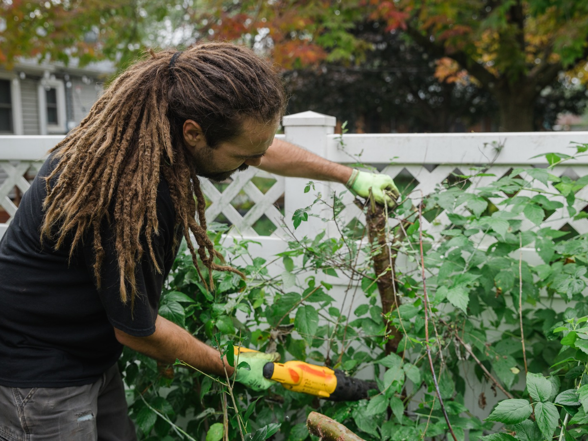 ReStore employee using a hedge clipper.