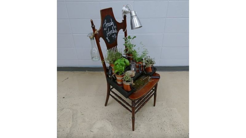 Upcycled chair with plants.