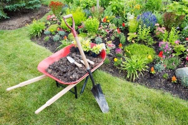 A large gardening shovel learning against a red wheelbarrow full of dirt.